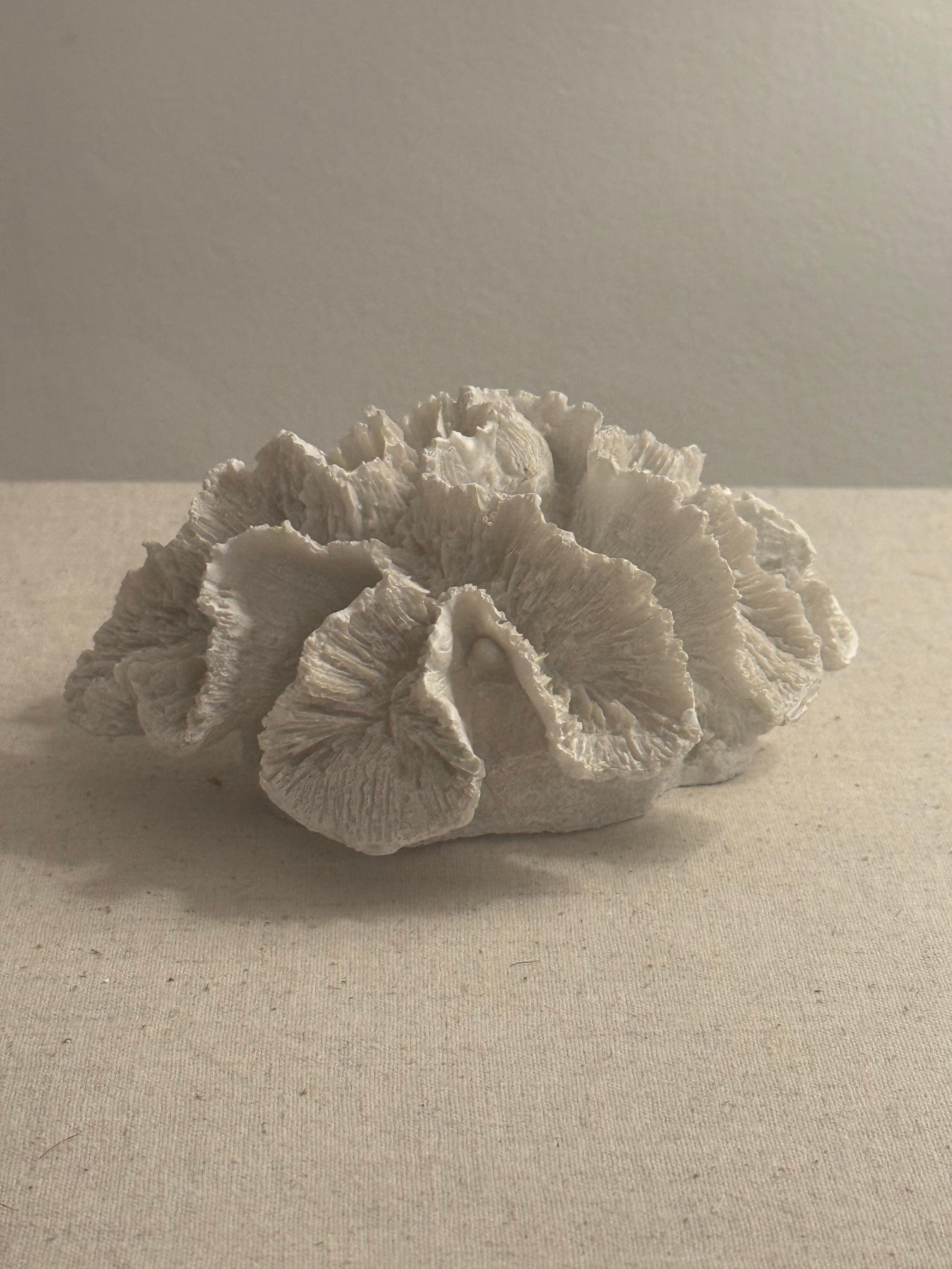 Decorative White Faux Coral Ornament