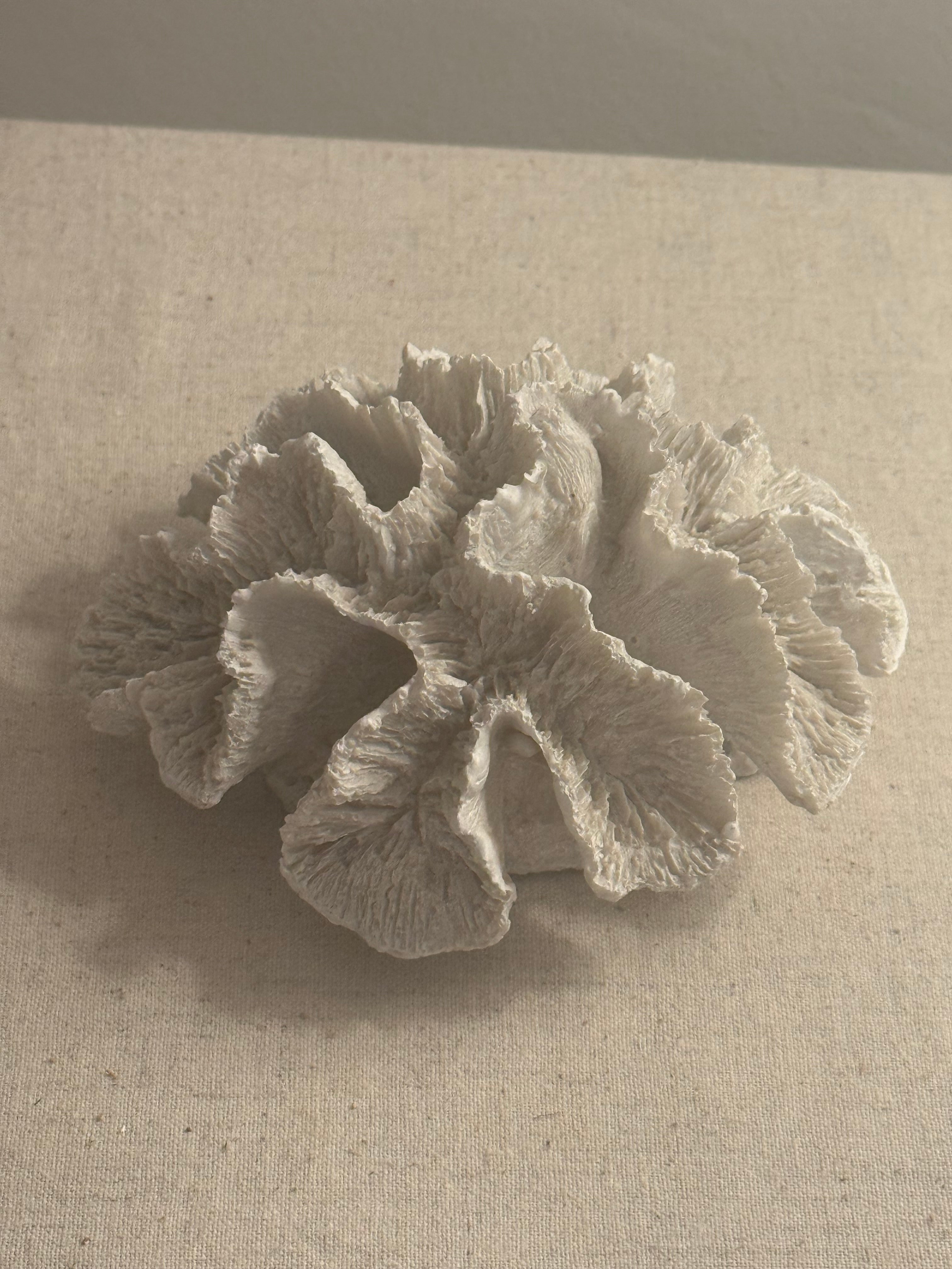 Decorative White Faux Coral Ornament