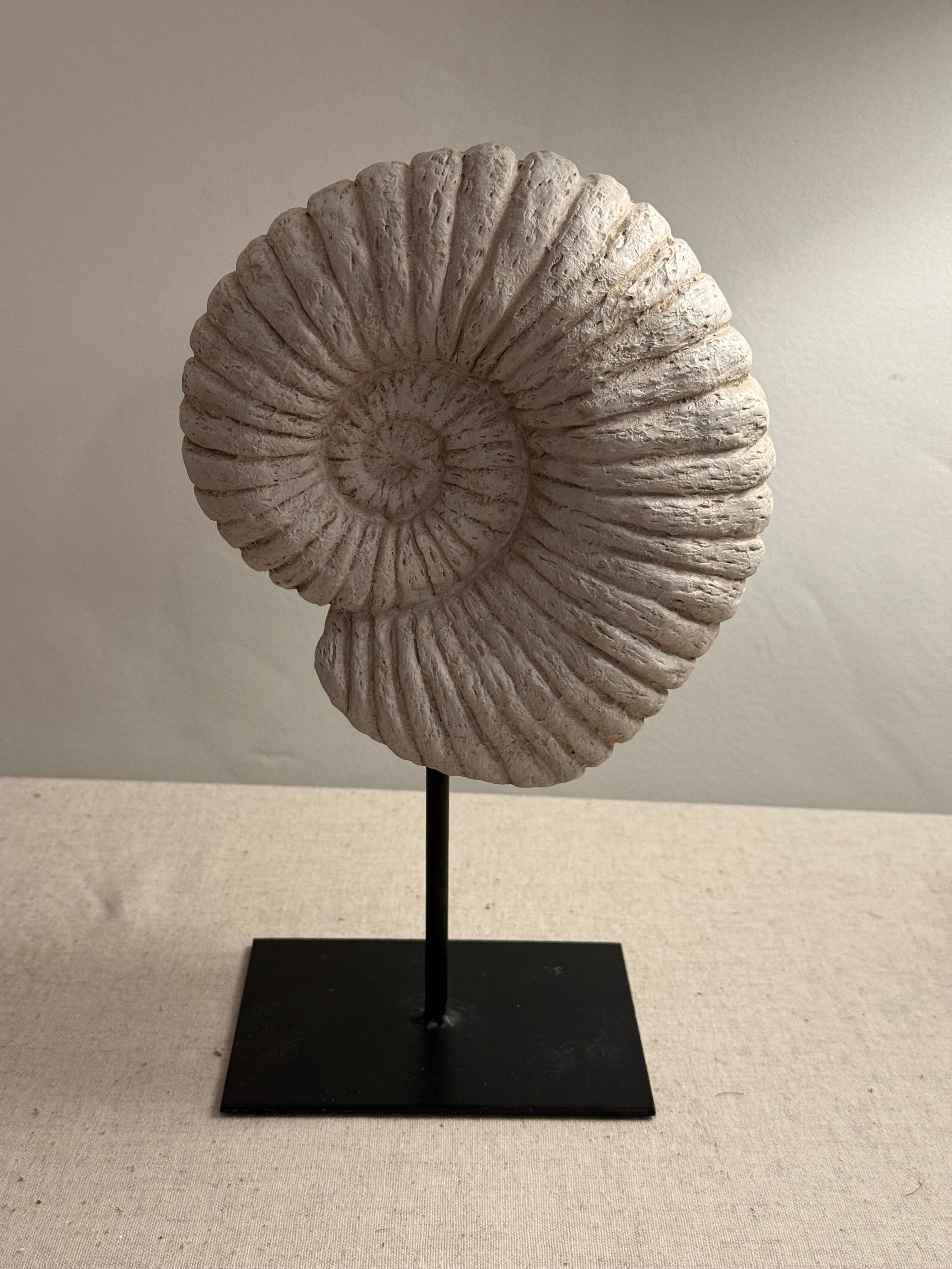 Decorative Faux Ammonite Fossil Ornament on Stand