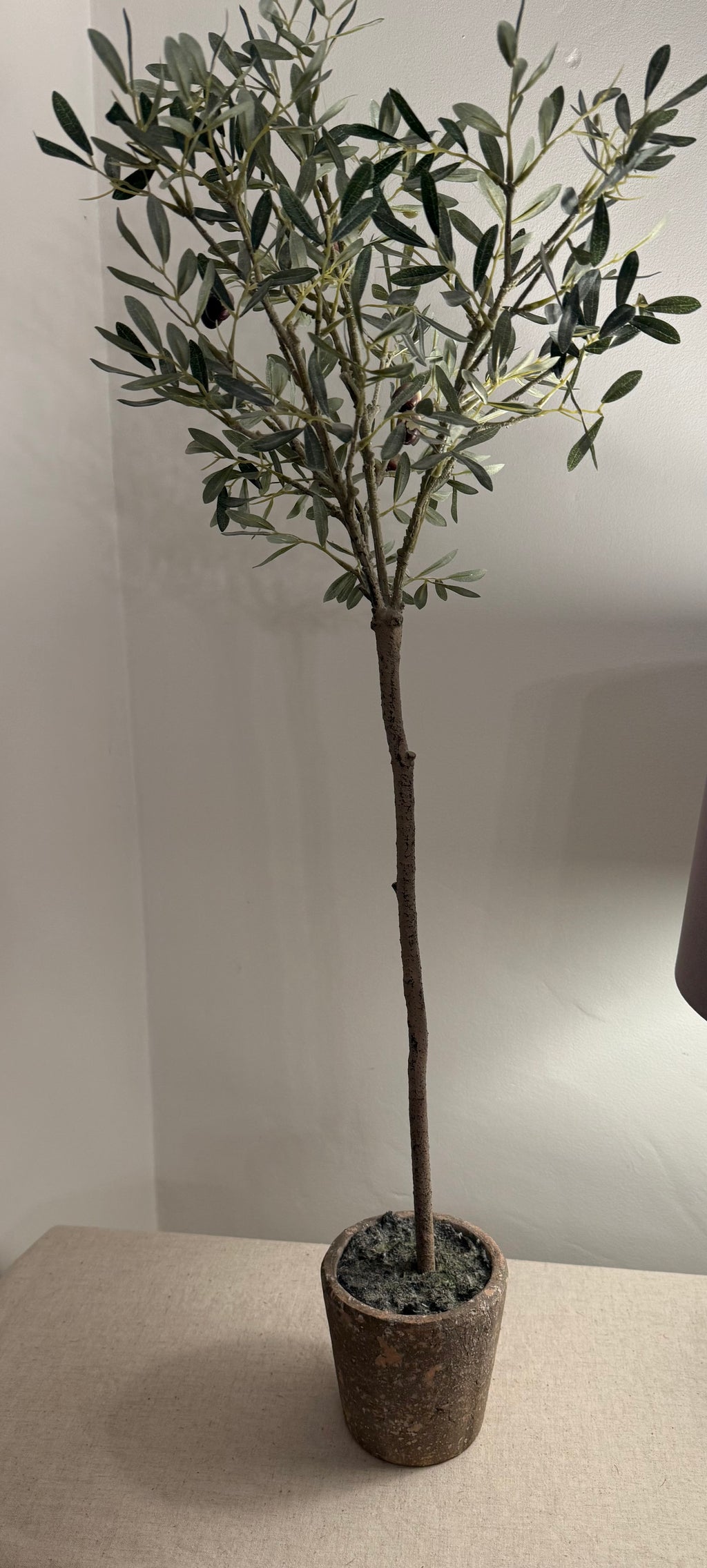 Faux Olive Tree in Rustic Terracotta-Effect Pot