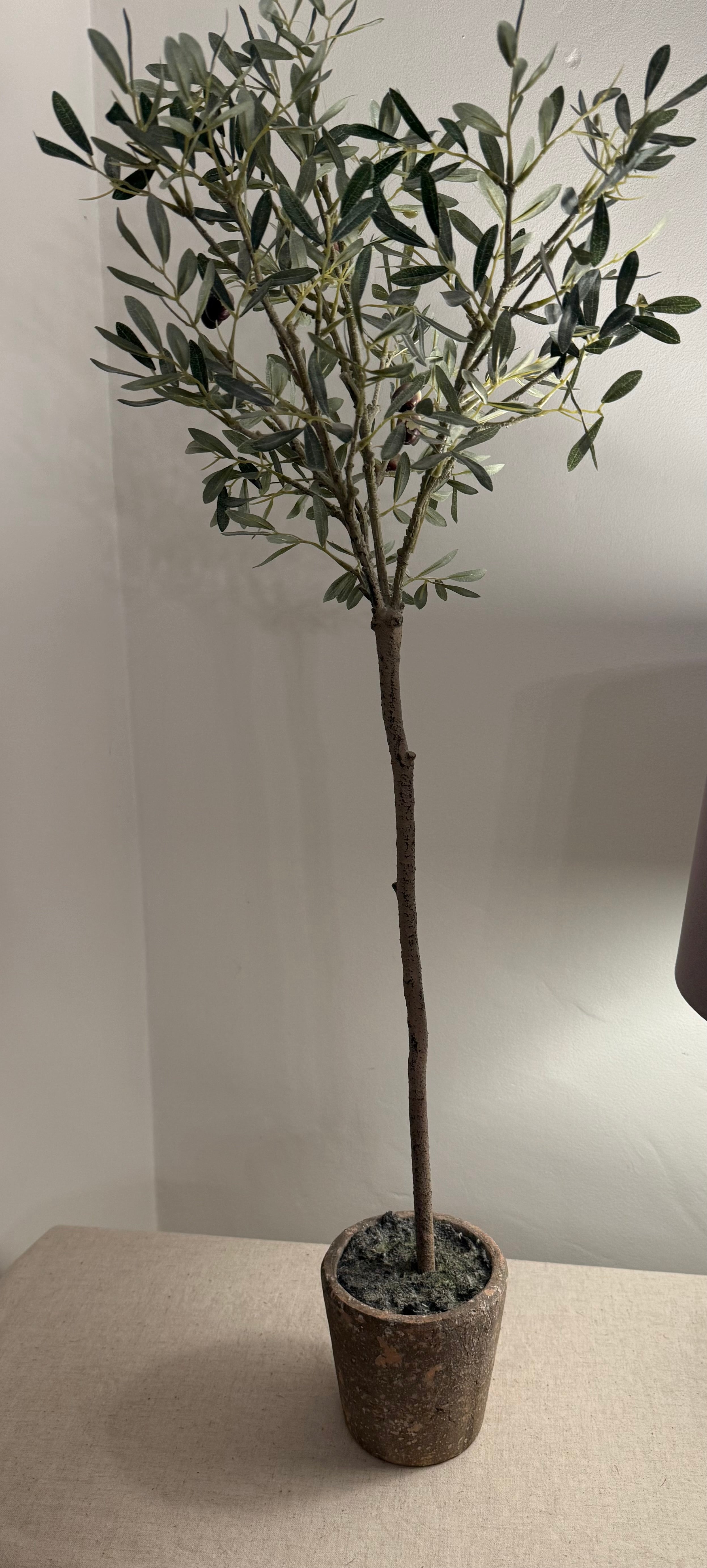 Faux Olive Tree in Rustic Terracotta-Effect Pot