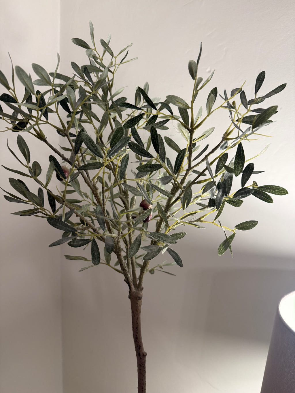Faux Olive Tree in Rustic Terracotta-Effect Pot