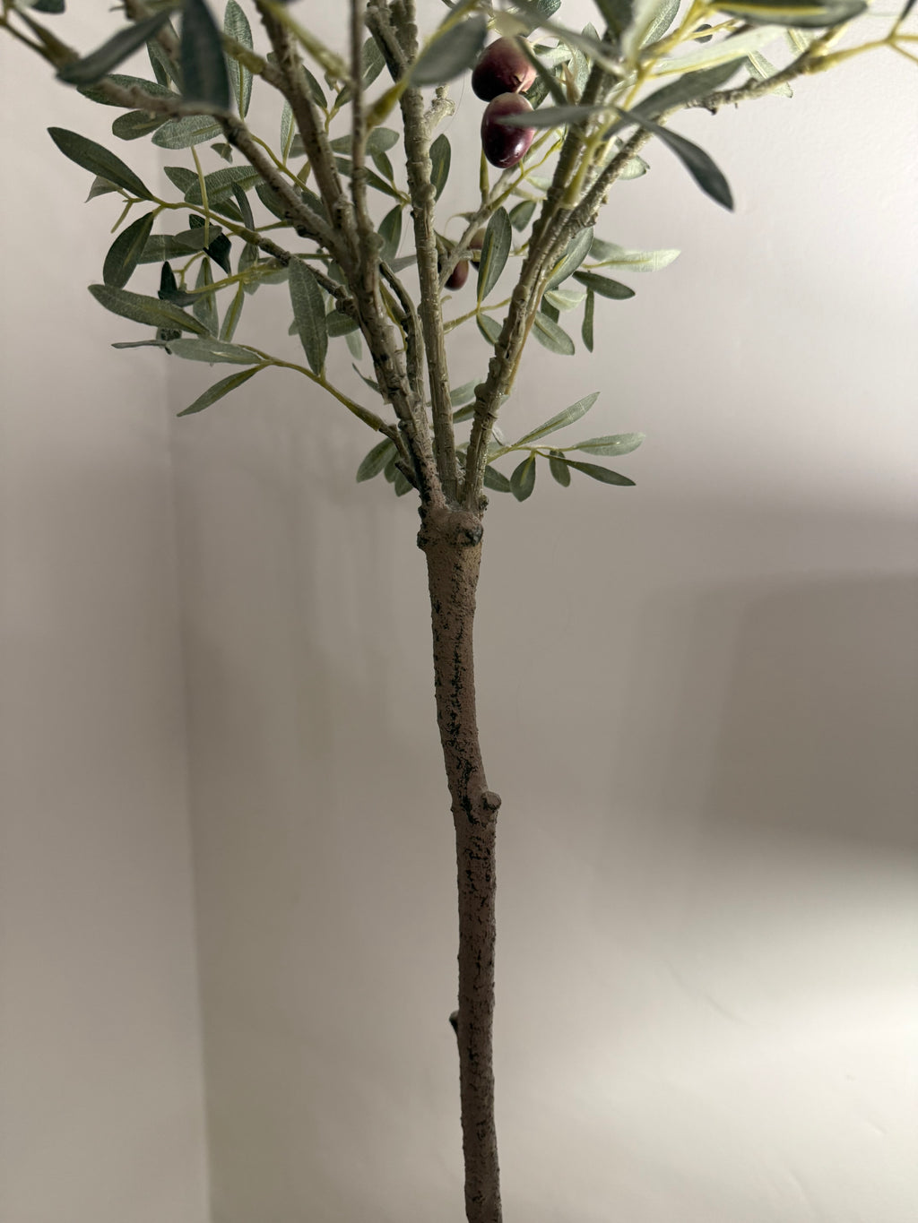 Faux Olive Tree in Rustic Terracotta-Effect Pot